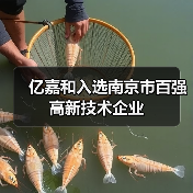 亿嘉和入选南京市百强高新技术企业(图2) 亿嘉和入选南京市百强高新技术企业(图2)