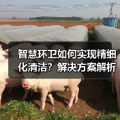 智慧环卫如何实现精细化清洁？解决方案解析（图3）