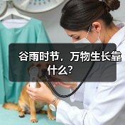 谷雨时节,万物生长靠什么?(图4) 谷雨时节,万物生长靠什么?(图4)