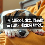 清洁服务行业如何高质量发展？物业高峰论坛深度解析（图3）