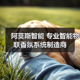 阿莫斯智能 专业智能物联香氛系统制造商（图2）
