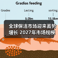 全球保洁市场迎来蓄势增长 2027年市场规模将达到约4,500亿美元！（图4）