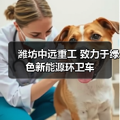 潍坊中远重工 致力于绿色新能源环卫车（图1）