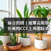 展会回顾 | 威莱克斯领衔亮相CCE上海国际清洁技术与设备博览会（图2）