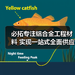 必拓专注铝合金工程材料 实现一站式全面供应