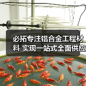 必拓专注铝合金工程材料 实现一站式全面供应（图2）