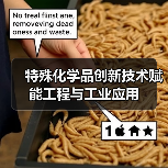 特殊化学品创新技术赋能工程与工业应用