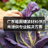 广东地面铺装材料供应商提供专业解决方案（图4）