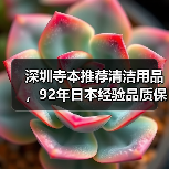 深圳寺本推荐清洁用品，92年日本经验品质保障