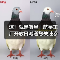 这！就是航星 | 航星工厂开放日诚邀您关注参与（图2）