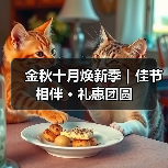 金秋十月焕新季|佳节相伴 · 礼惠团圆(图2) 金秋十月焕新季|佳节相伴 · 礼惠团圆(图2)