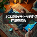 2023清洁行业分销商标杆调查报告(图4) 2023清洁行业分销商标杆调查报告(图4)