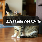 五个维度解码树派环保(图4) 五个维度解码树派环保(图4)
