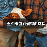 五个维度解码树派环保